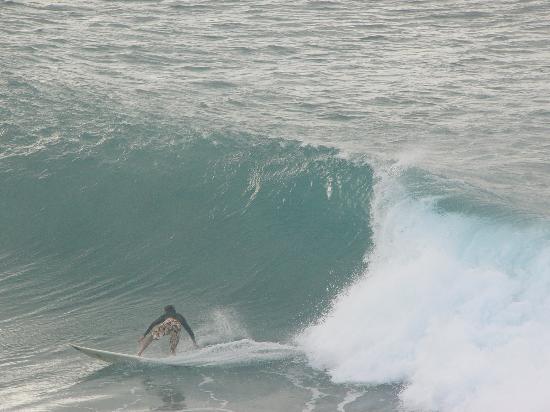 Two Weeks on the East Coast of Oz